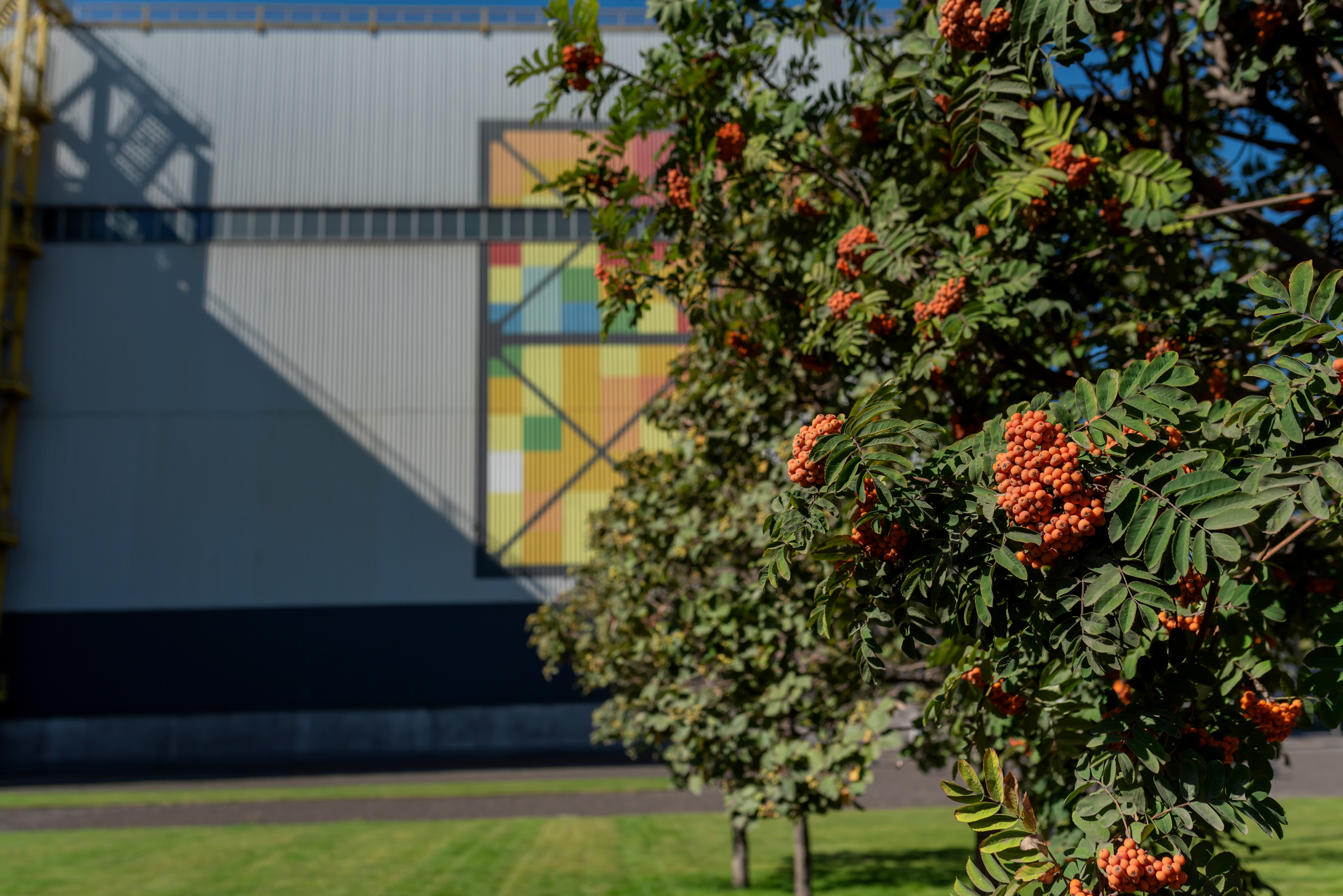 Interpipe Steel plant territory